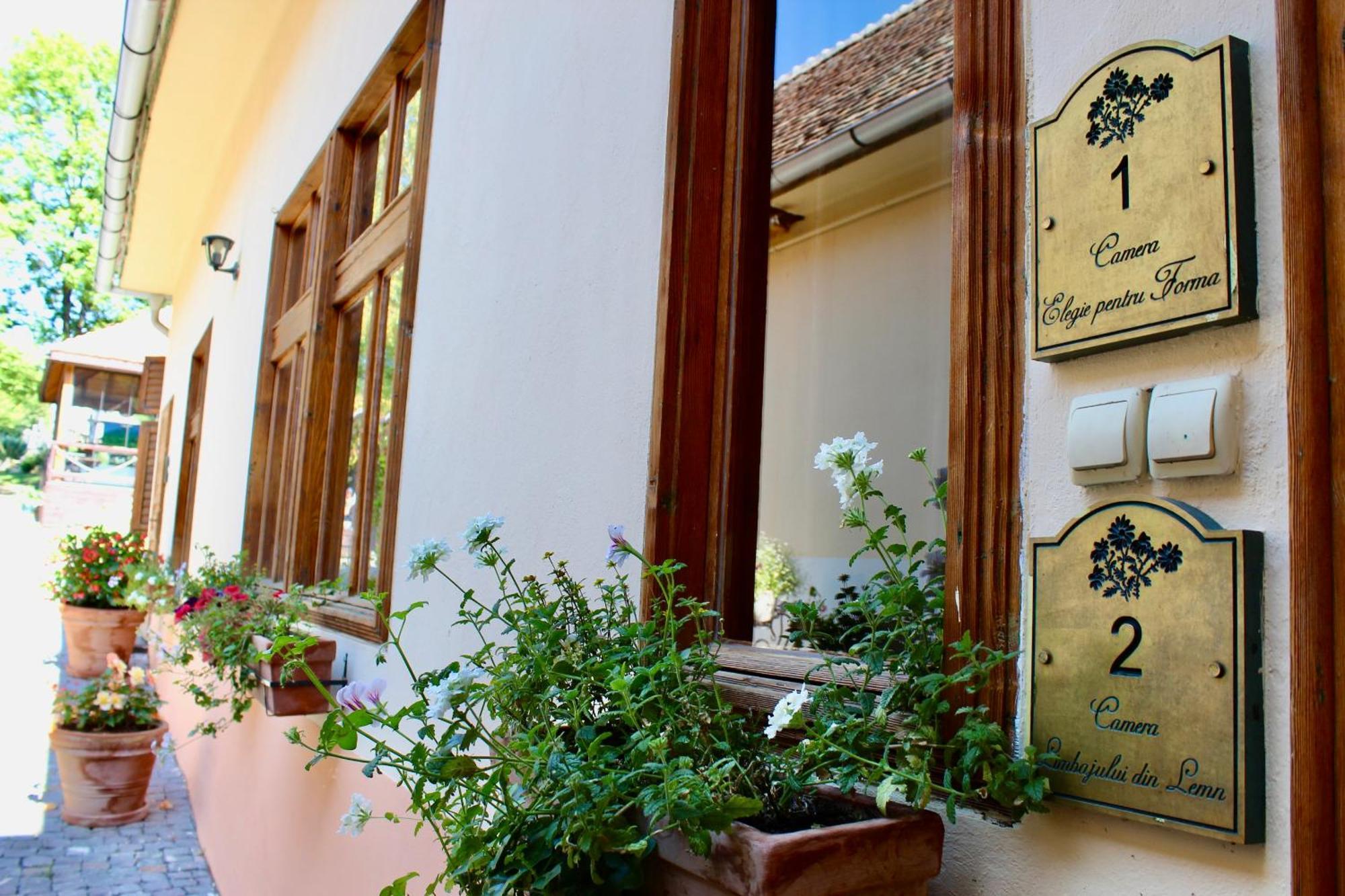 Pensiunea Agora Cisnadioara Bagian luar foto