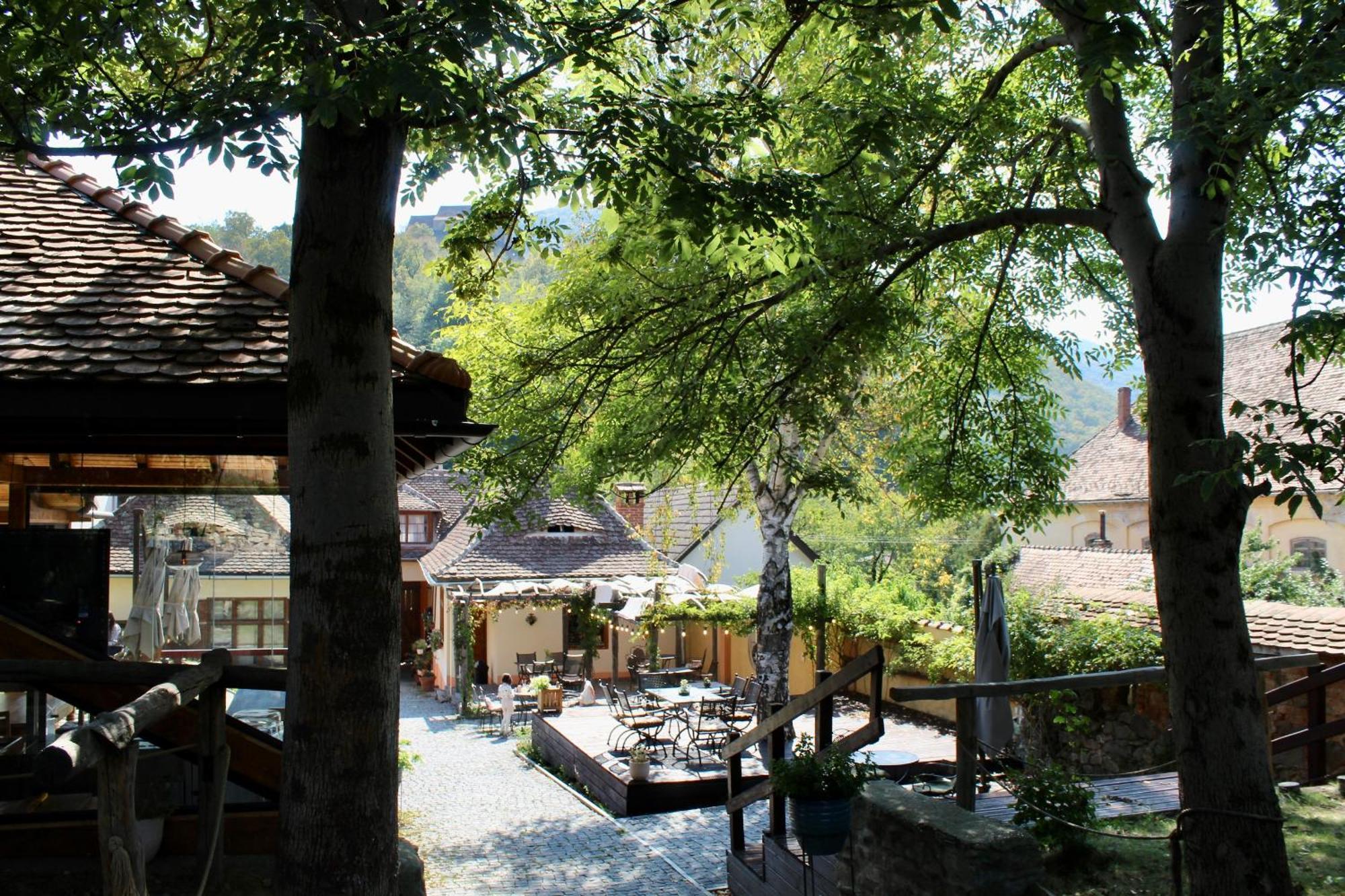 Pensiunea Agora Cisnadioara Bagian luar foto